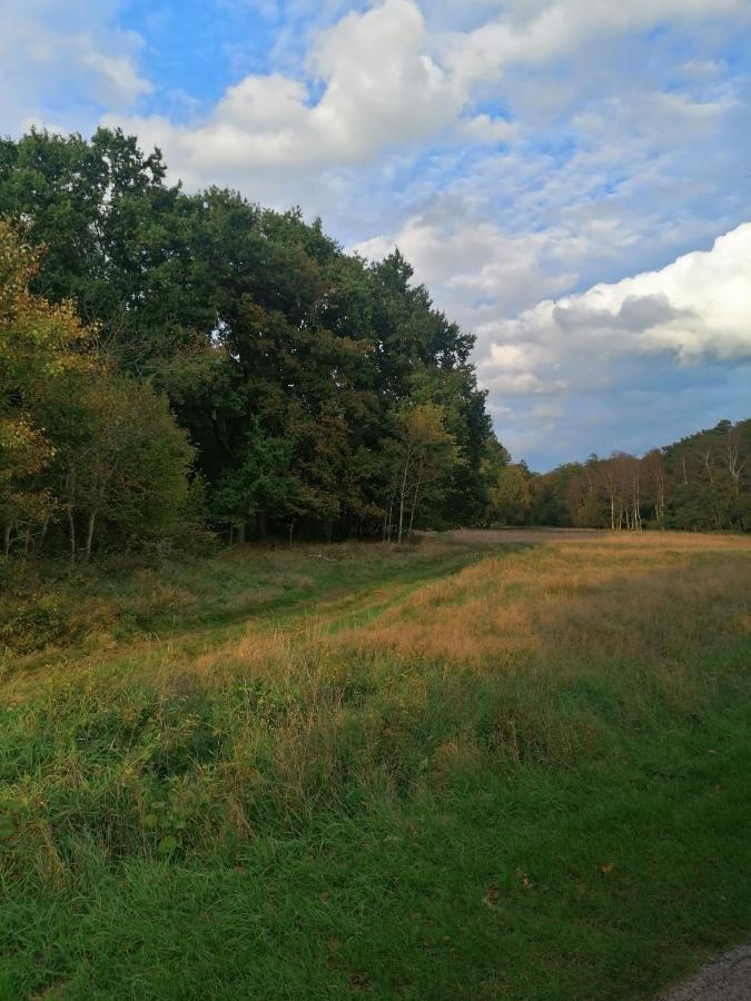 Mieszkanie 5 km od morza Lokciowe Zewnętrze zdjęcie